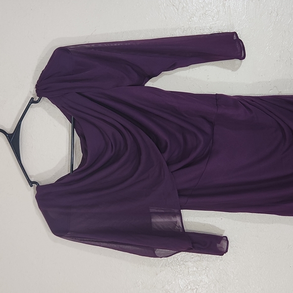 Adrianna Papell Plum Purple Sheer Fitted Dress SZ 6 - Picture 2 of 7